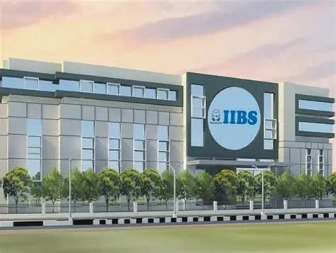 IIBS